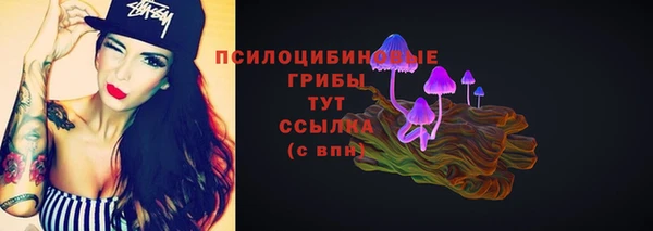 трава Армянск